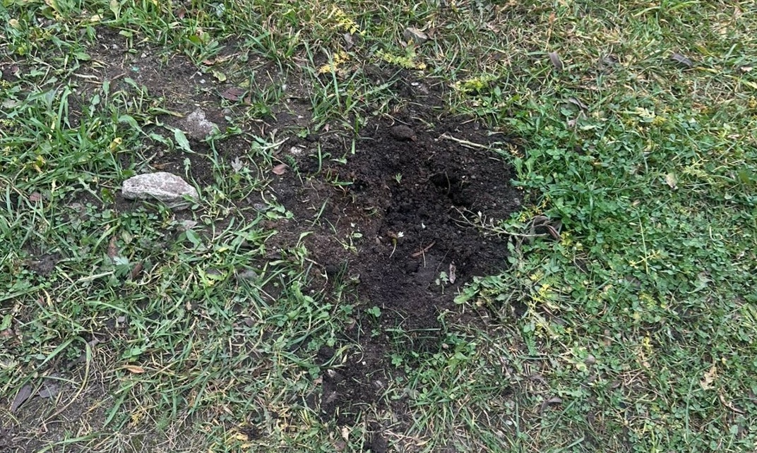 Вандалы выкопали цветы в карельском поселке Новая Вилга