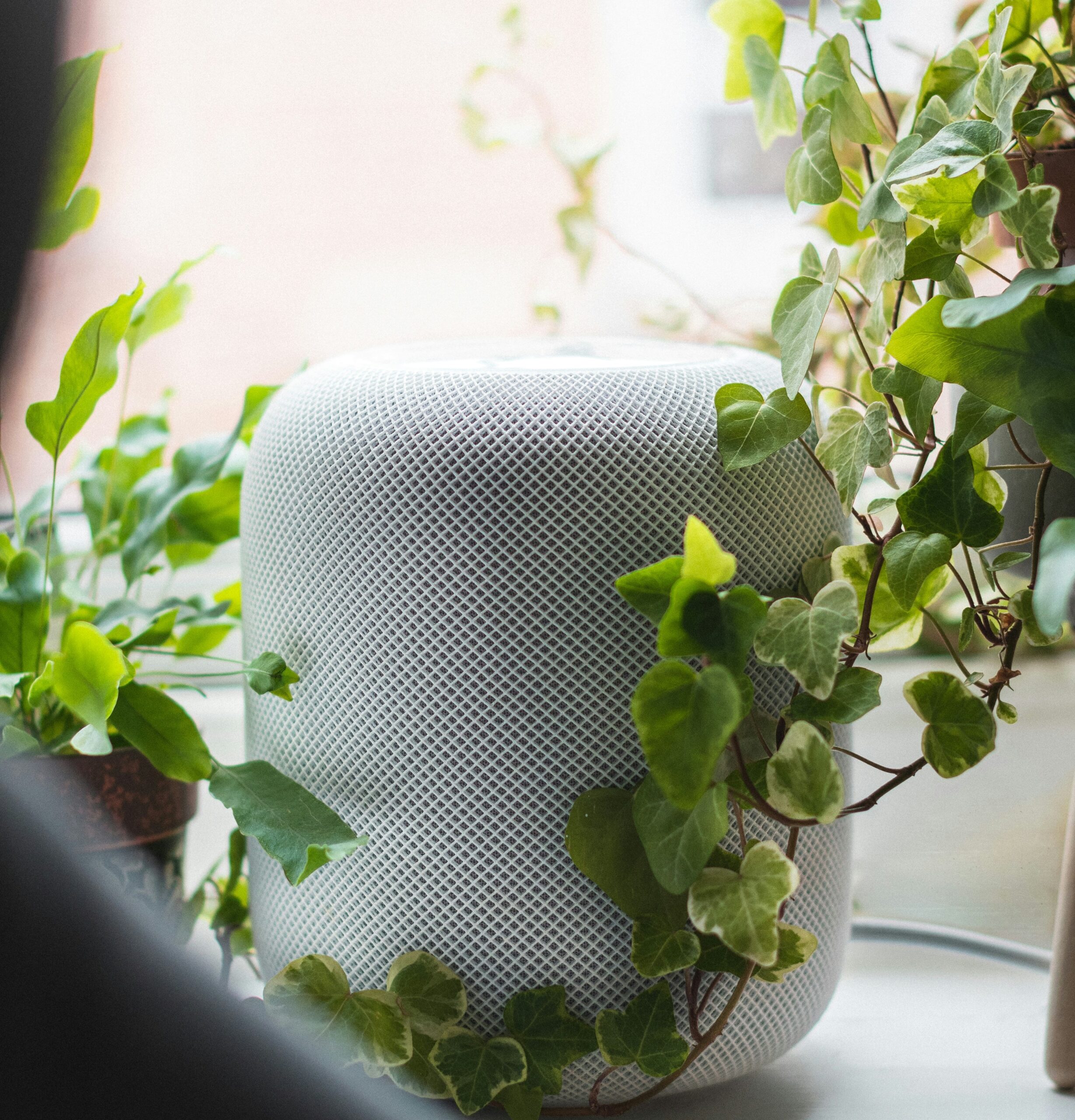 Умная колонка оказалась умнее любовника