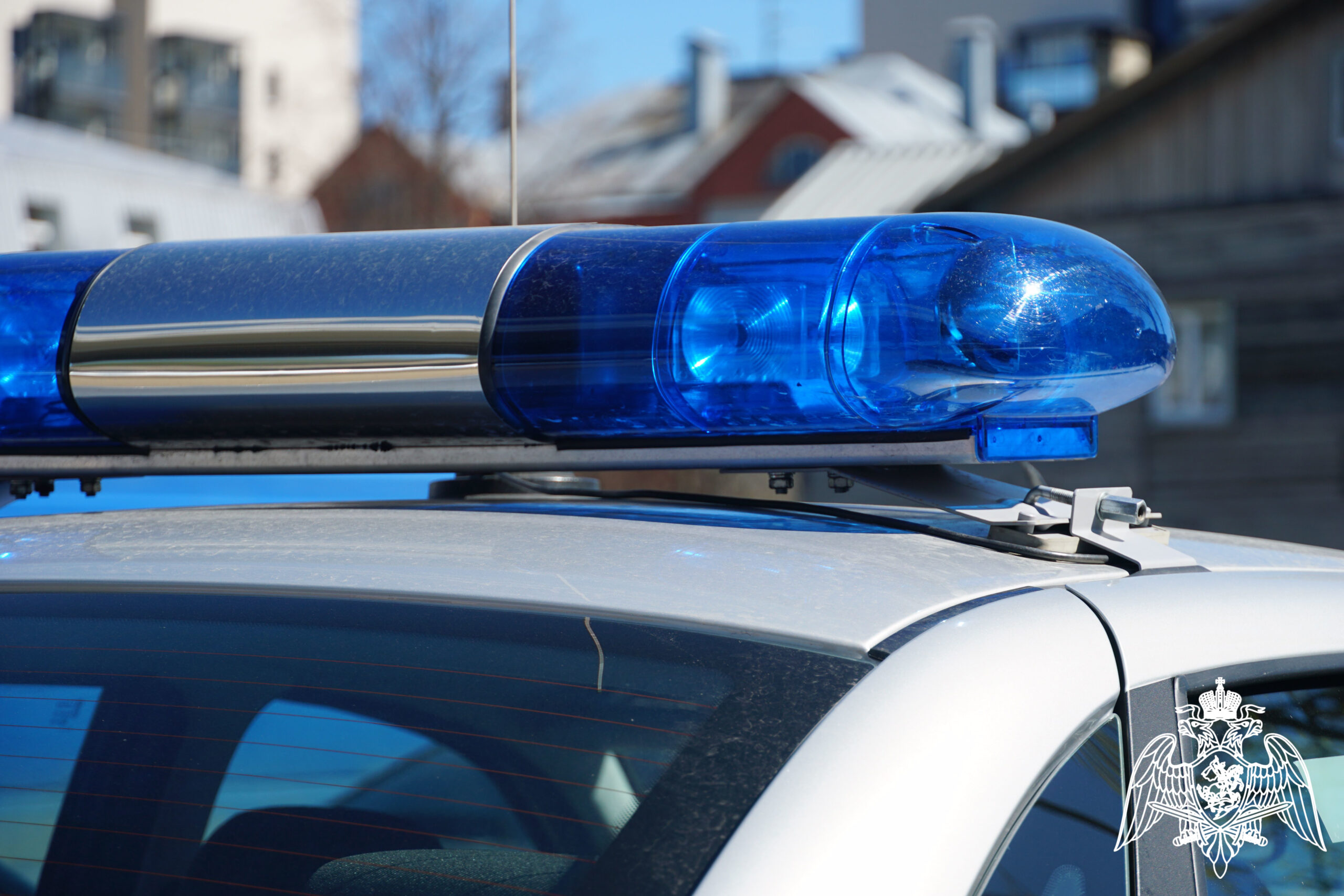 Пробравшуюся ночью в магазин петрозаводчанку заблокировали нагрянувшие росгвардейцы - сбежать с набитой корзинкой не удалось