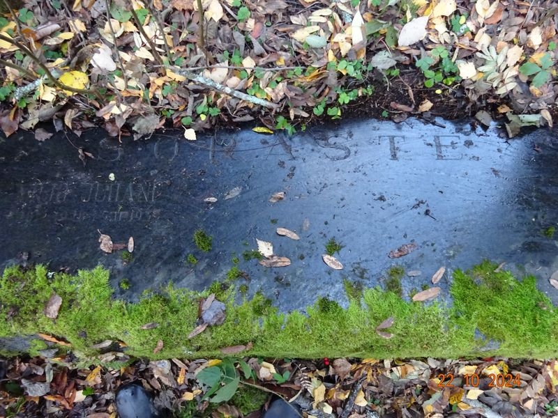 В Карелии нашли в лесу любопытный надгробный камень