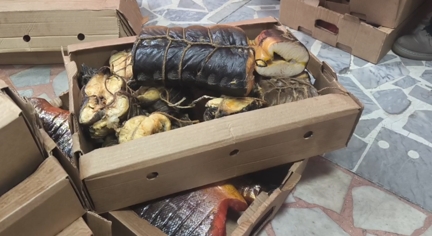 Больше 300 килограммов сомнительной рыбы арестовали на ярмарке в Петрозаводске - бизнесмен опять нарушил закон