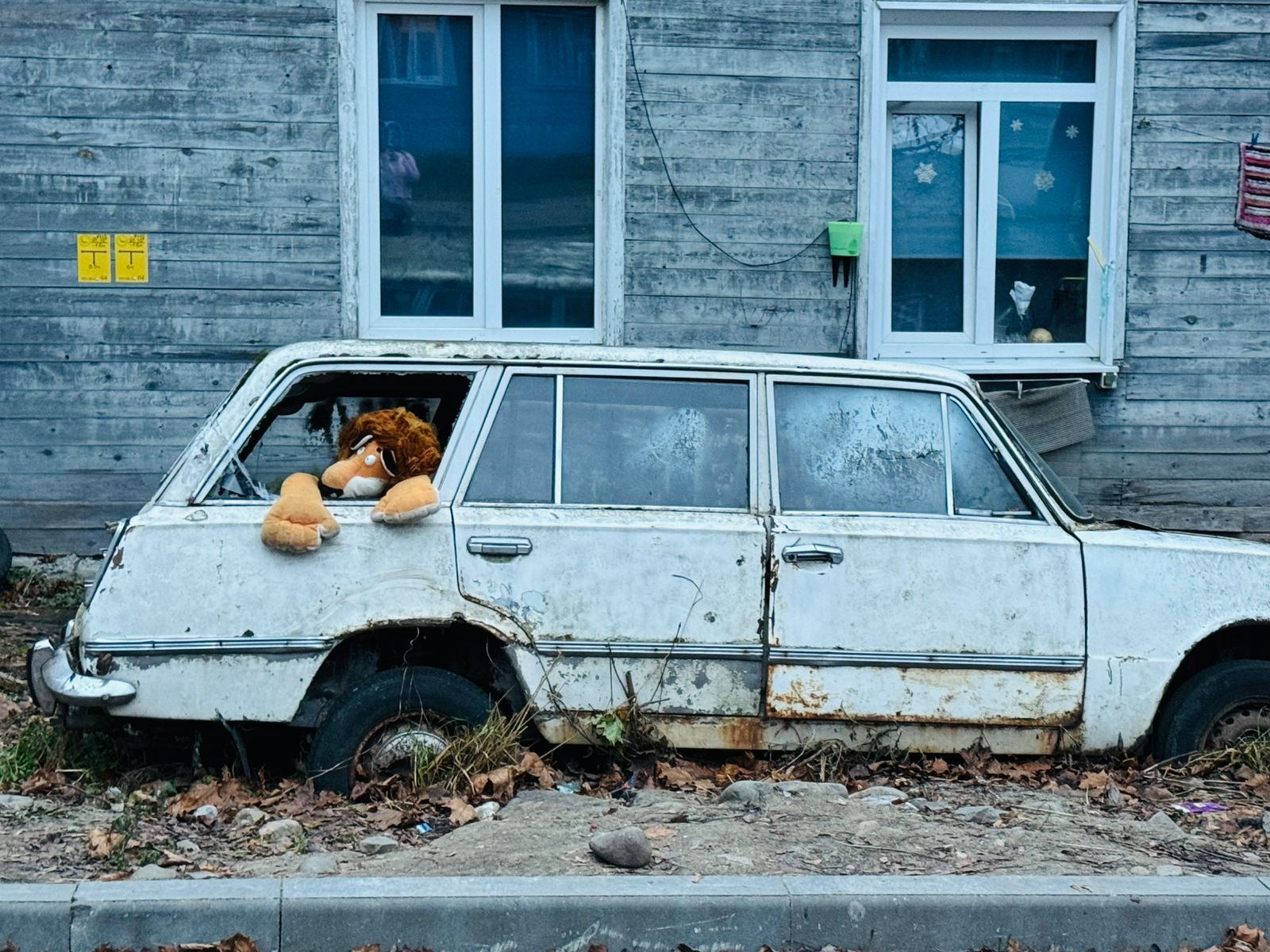 Загадочные «артефакты» заметили на улице в Петрозаводске