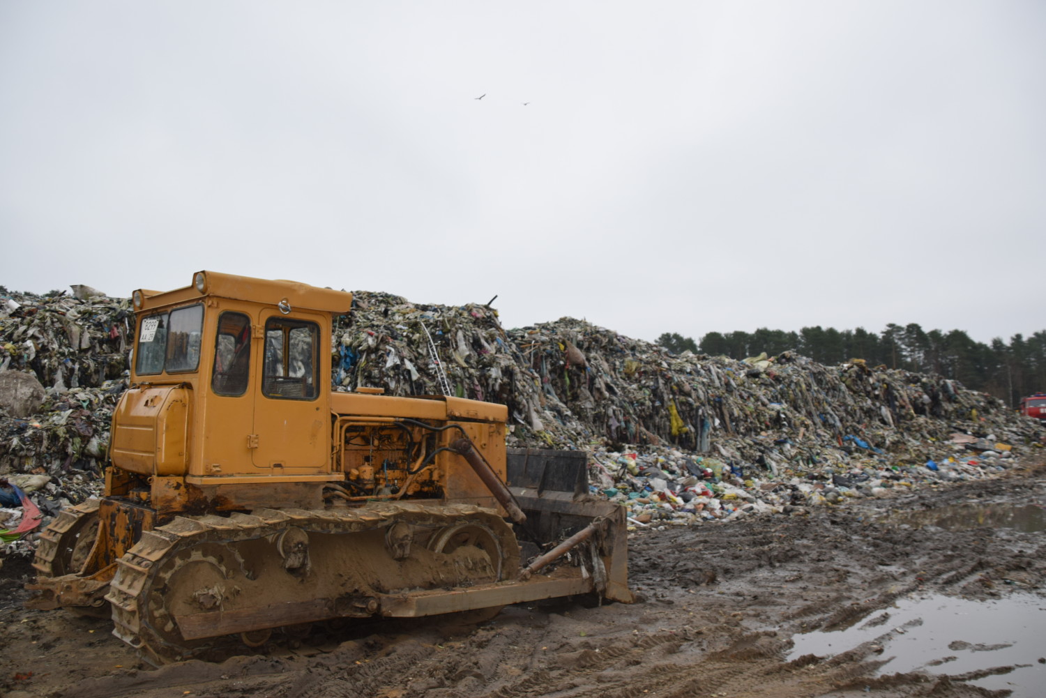 Российским свалкам хотят продлить жизнь из-за недостатка новых полигонов