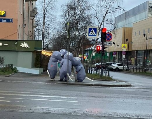 Упитанные грызуны что-то замышляли в центре Петрозаводска