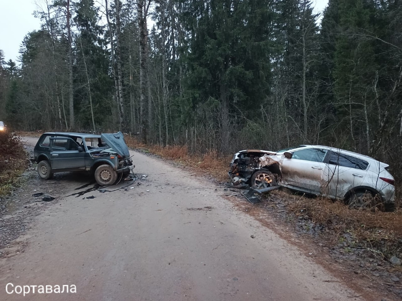 Стало известно, кто пострадал в жутком ДТП в Сортавальском округе