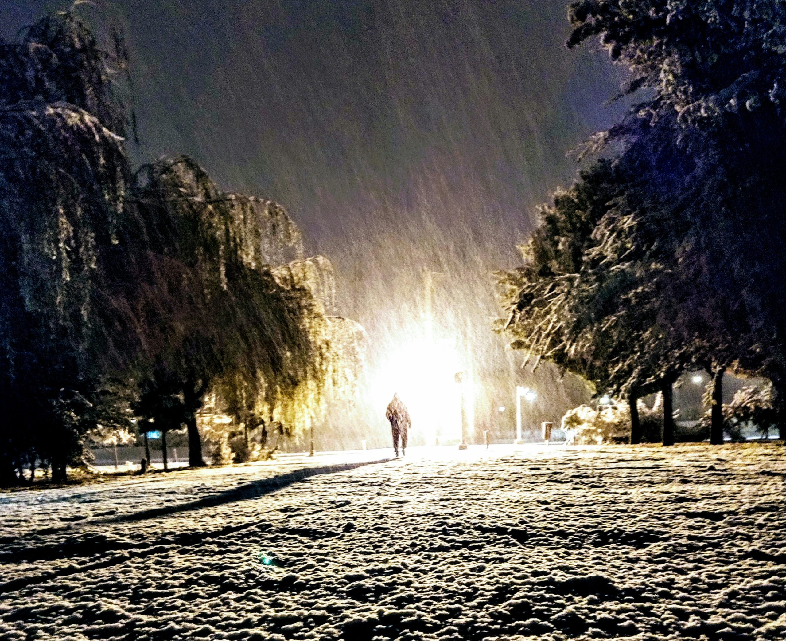 Дождь, снег и ветер в одном флаконе: прогноз погоды на 14 ноября