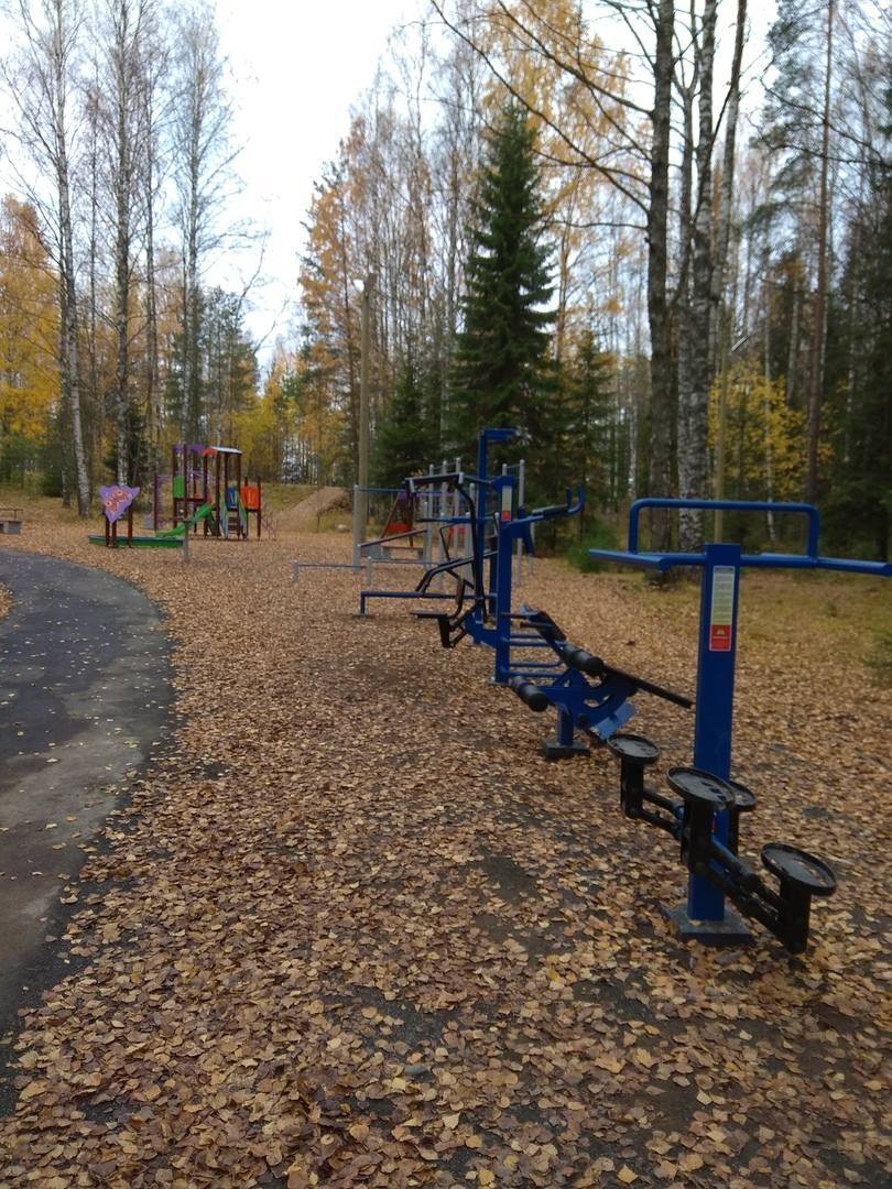 Депутаты от «ЕР» предложили запустить в Карелии программу «Конкретных дел»