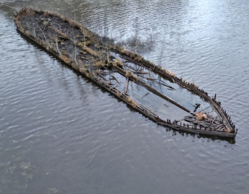 Кладбище затонувших кораблей вышло на поверхность озера в Карелии