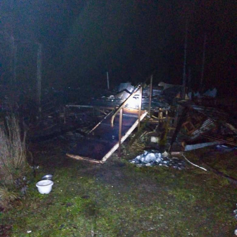 Публикации не соответствуют действительности: пожарные рассказали, почему сгорел дотла дом в Лахденпохском районе