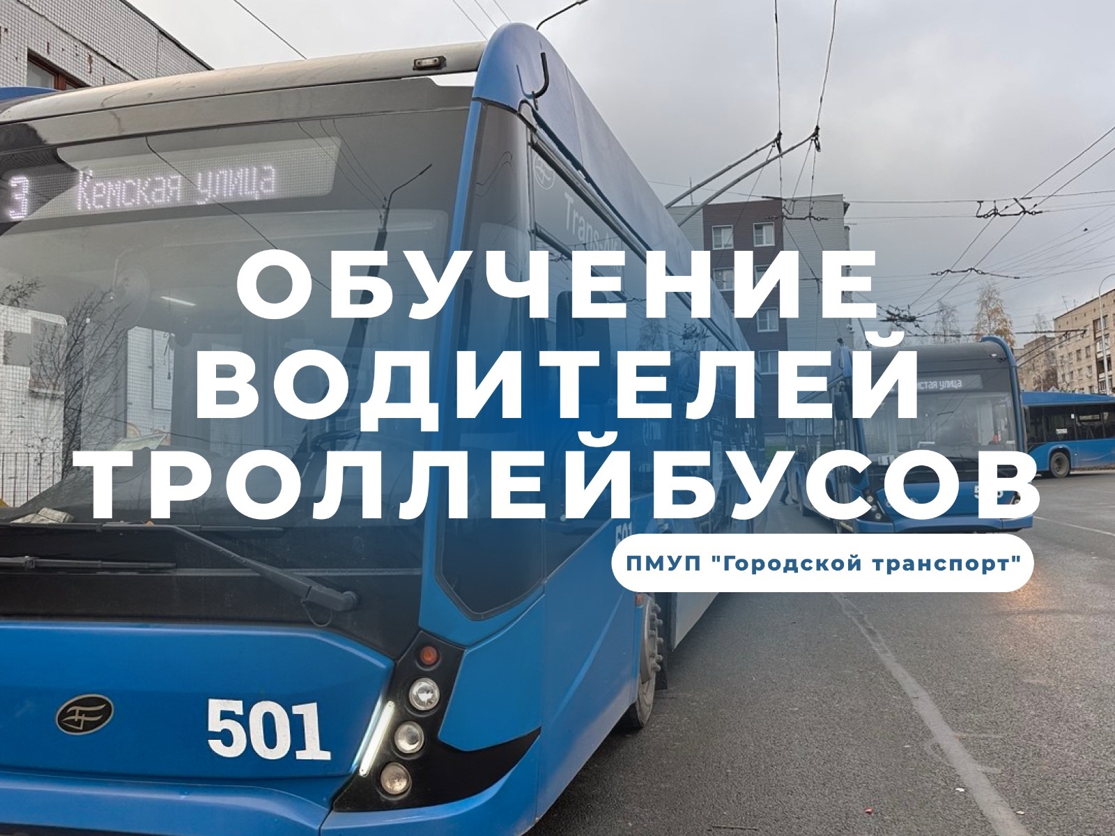 Водителей троллейбусов в Петрозаводске будут готовить к работе на постоянной основе