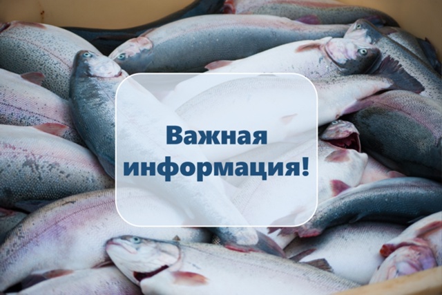 Карельских рыбоводов предупредили о необходимости маркировки аквакультуры