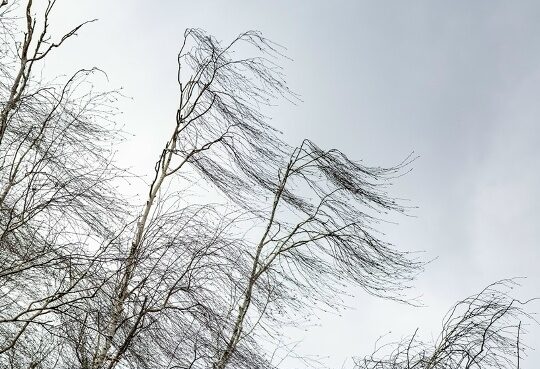 Держите шляпы: сильный ветер в субботу продолжит завывать в Карелии