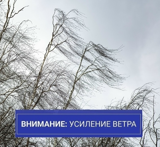 Сильный ветер обрушится на Карелию