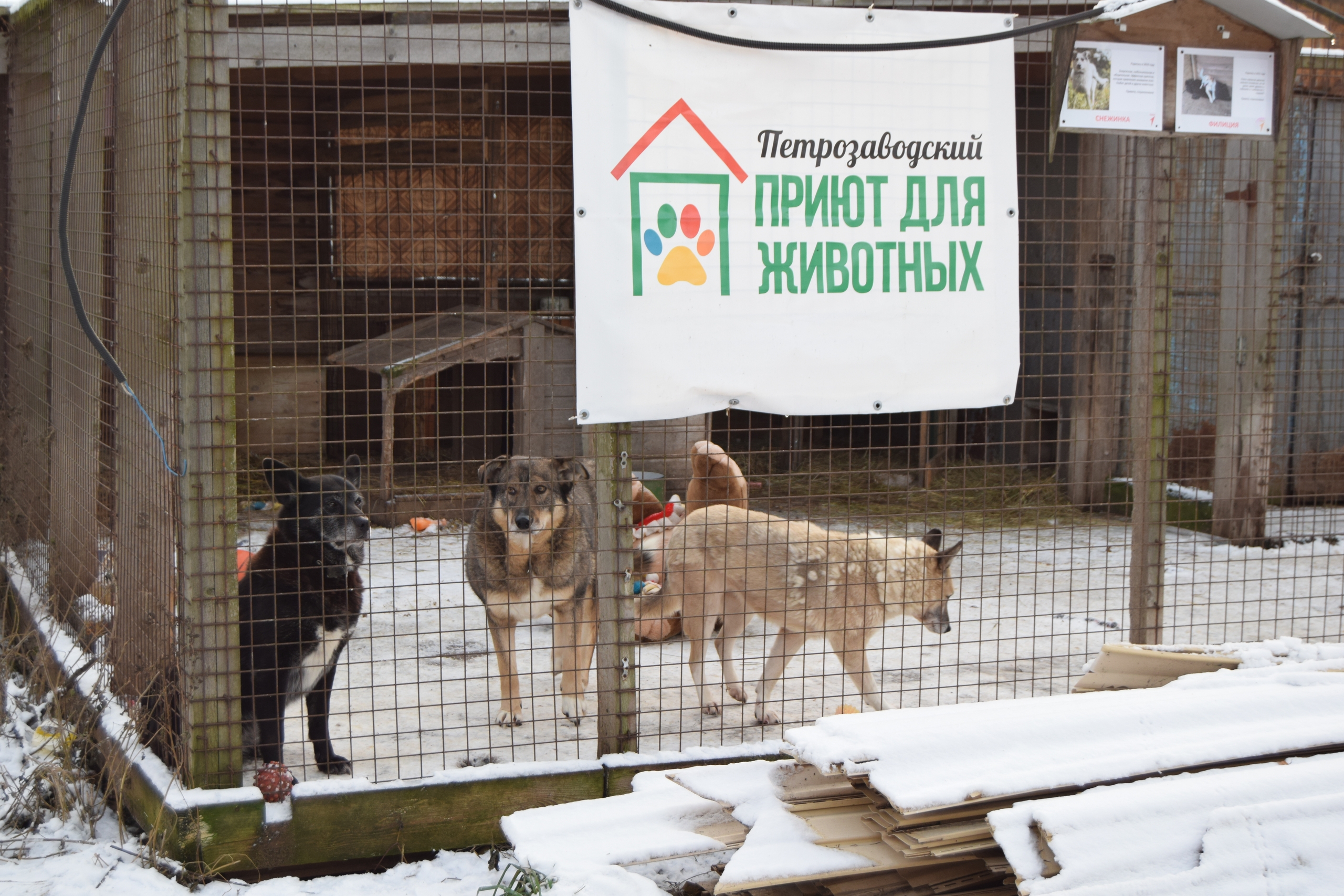 Цистерну с водой доставили в приют для животных в Петрозаводске