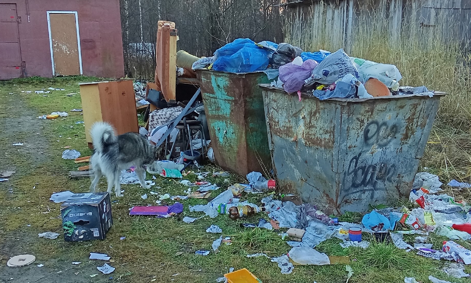 В Пиндушах местные жители требуют у властей предотвращения мусорного коллапса