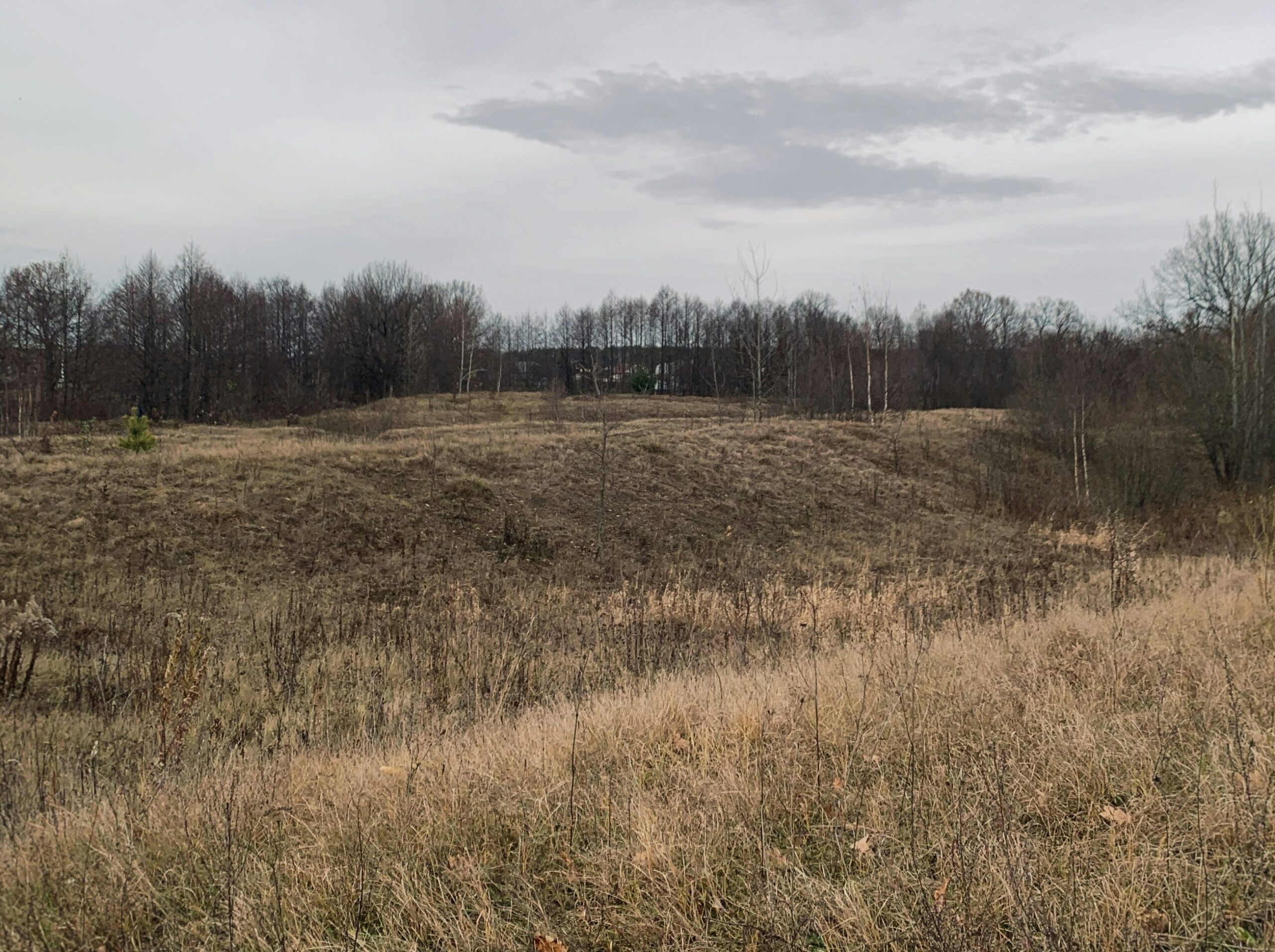 Бастрыкин разберётся, почему многодетные семьи Медвежьегорска так и не начали застраивать полученные 10 лет назад участки
