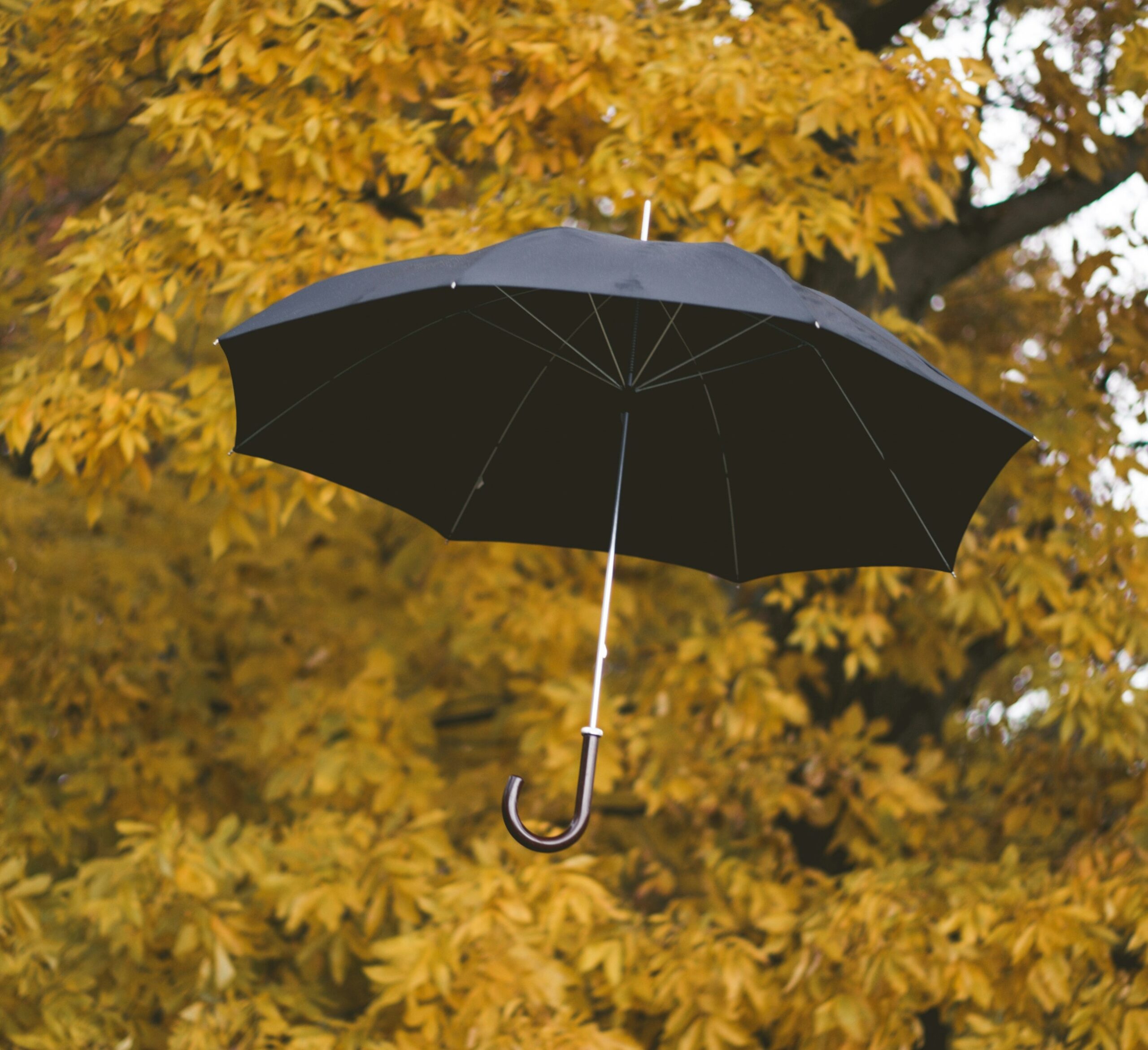 Почти бабье лето: погода в Карелии на 5 ноября