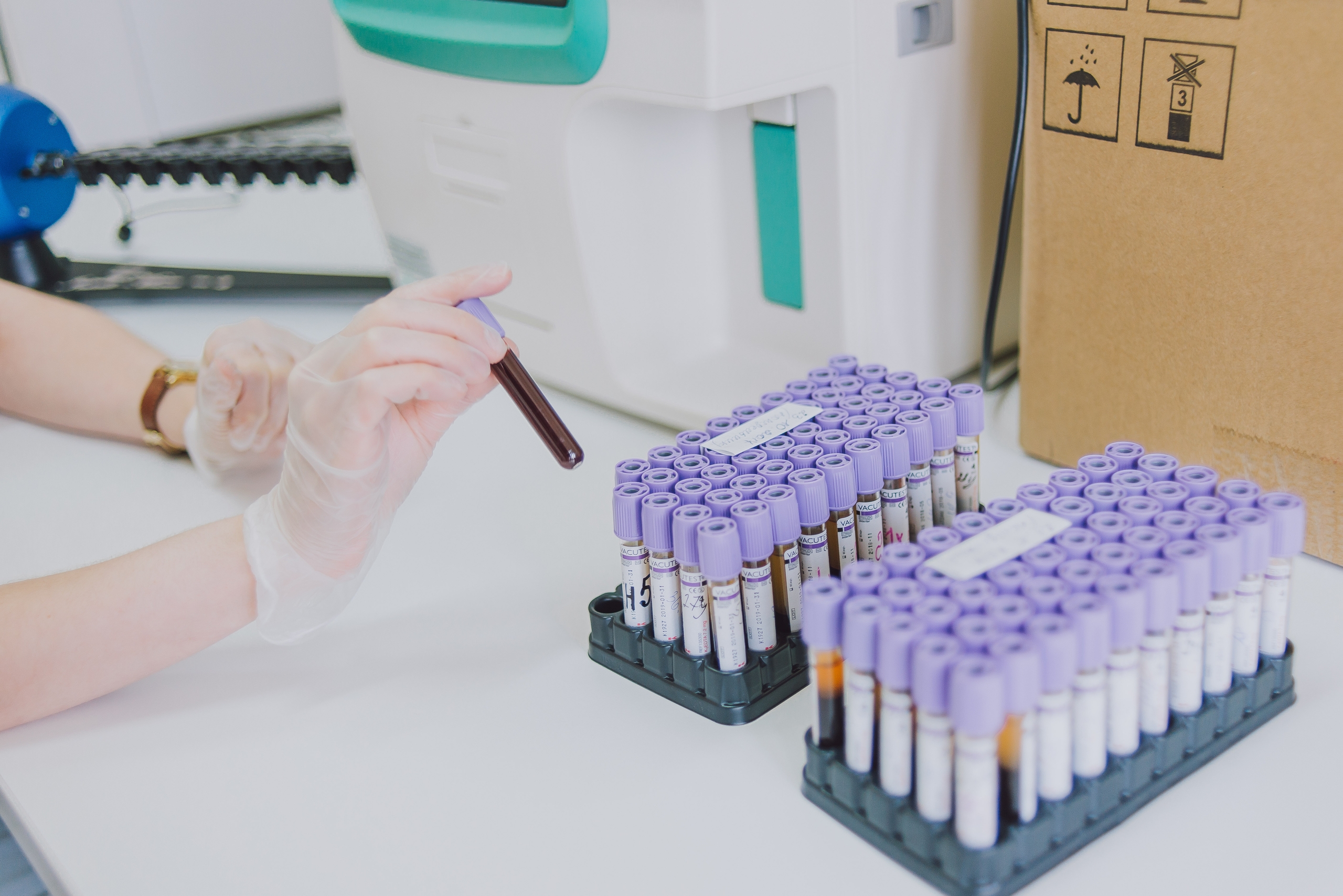 Карельские врачи рассказали, какие анализы надо сдавать ежегодно