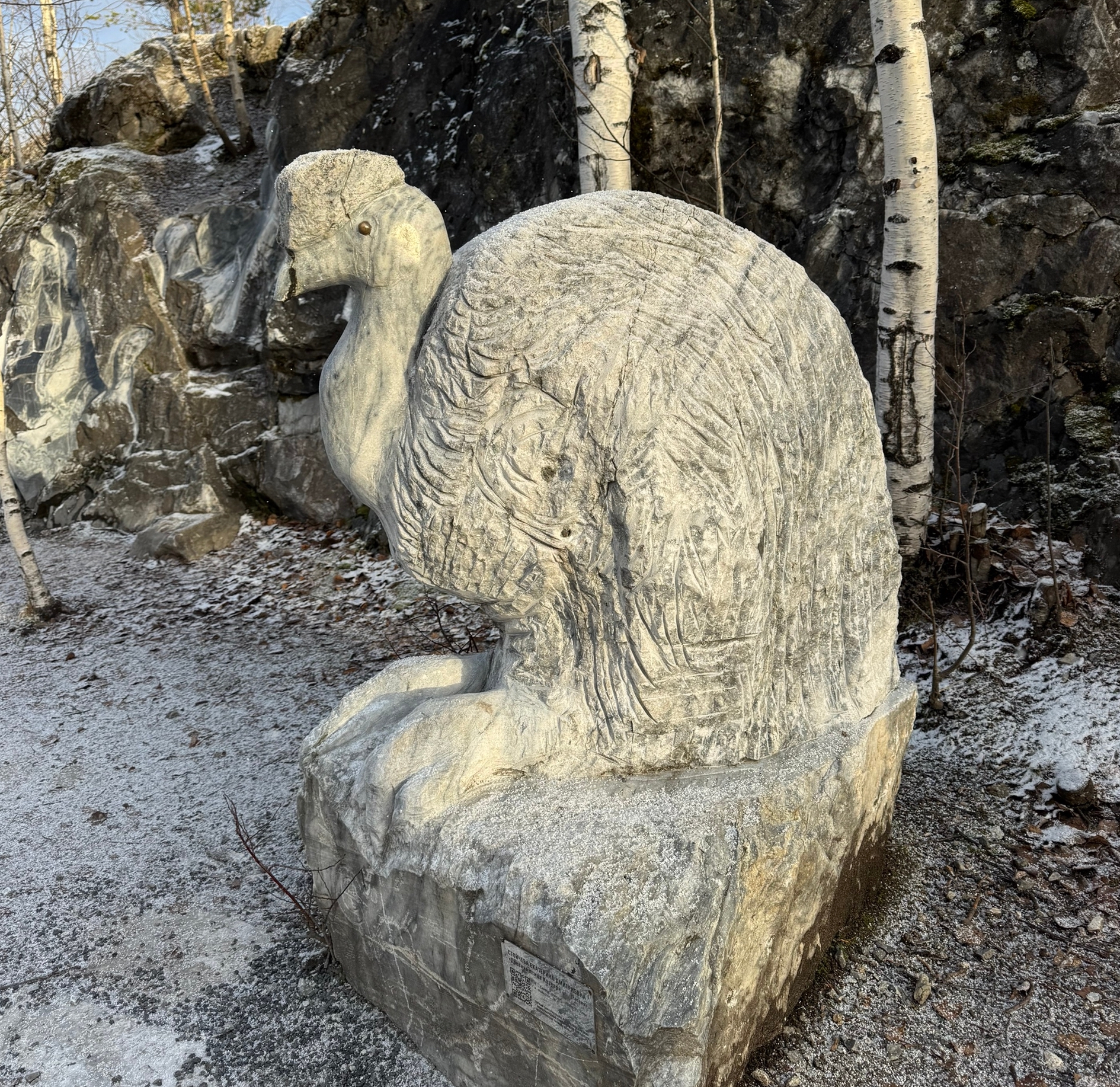 Самая опасная птица мира «поселилась» в карельском Горном парке «Рускеала»