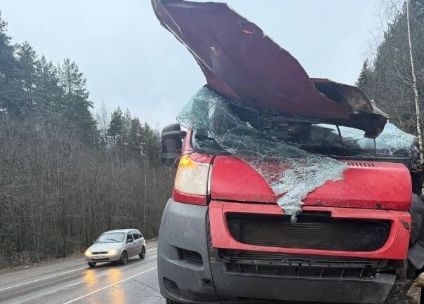 Микроавтобус намотало на КамАЗ: появились фото с места утренней массовой аварии под Петрозаводском