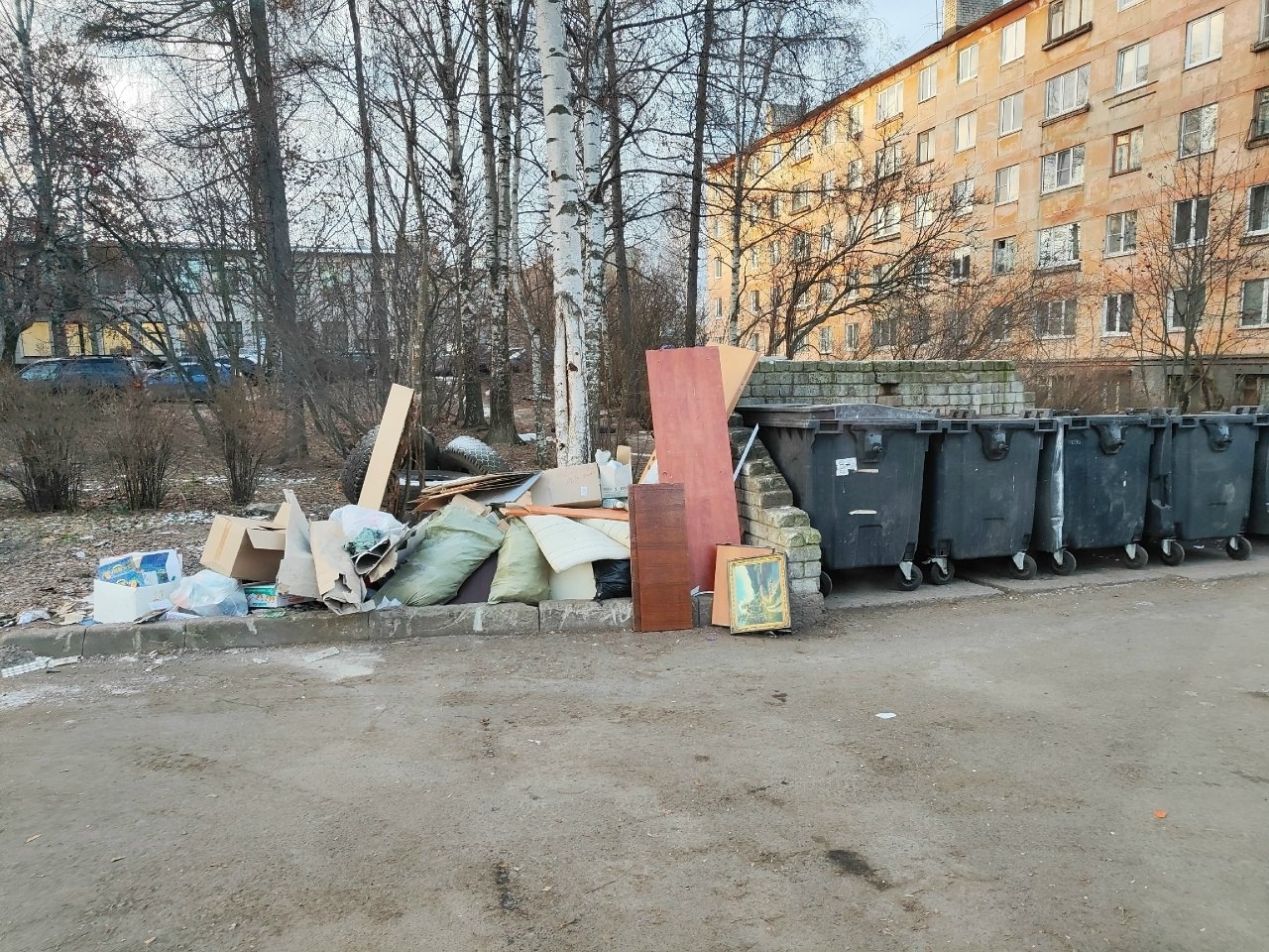 Депутат Анна Лопаткина проверила мусорные площадки Петрозаводска