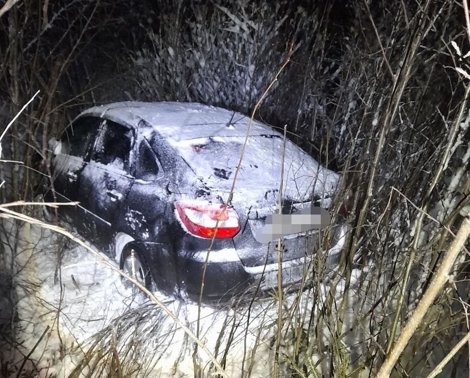 На трассе «Кола» под Пряжей автомобиль съехал в кювет