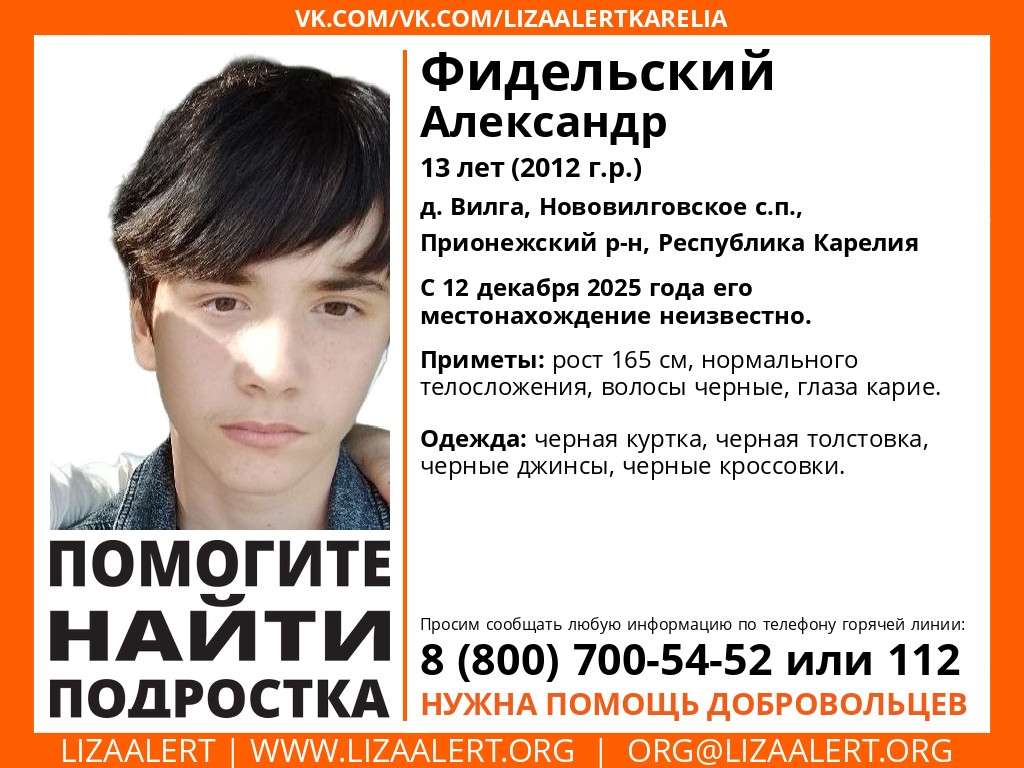 Поисковый отряд «ЛизаАлерт» ищет пропавшего подростка