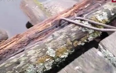 Опасный мост рассыпается на глазах в Святозере