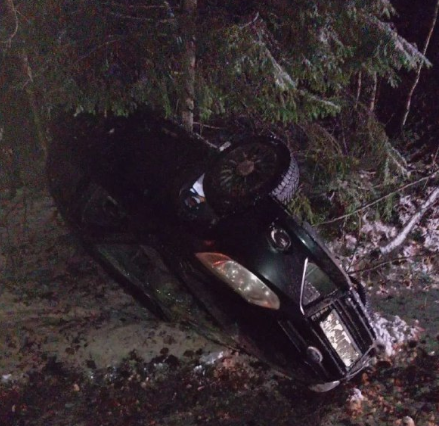 В ДТП под Медвежьегорском пострадали два взрослых и двое детей