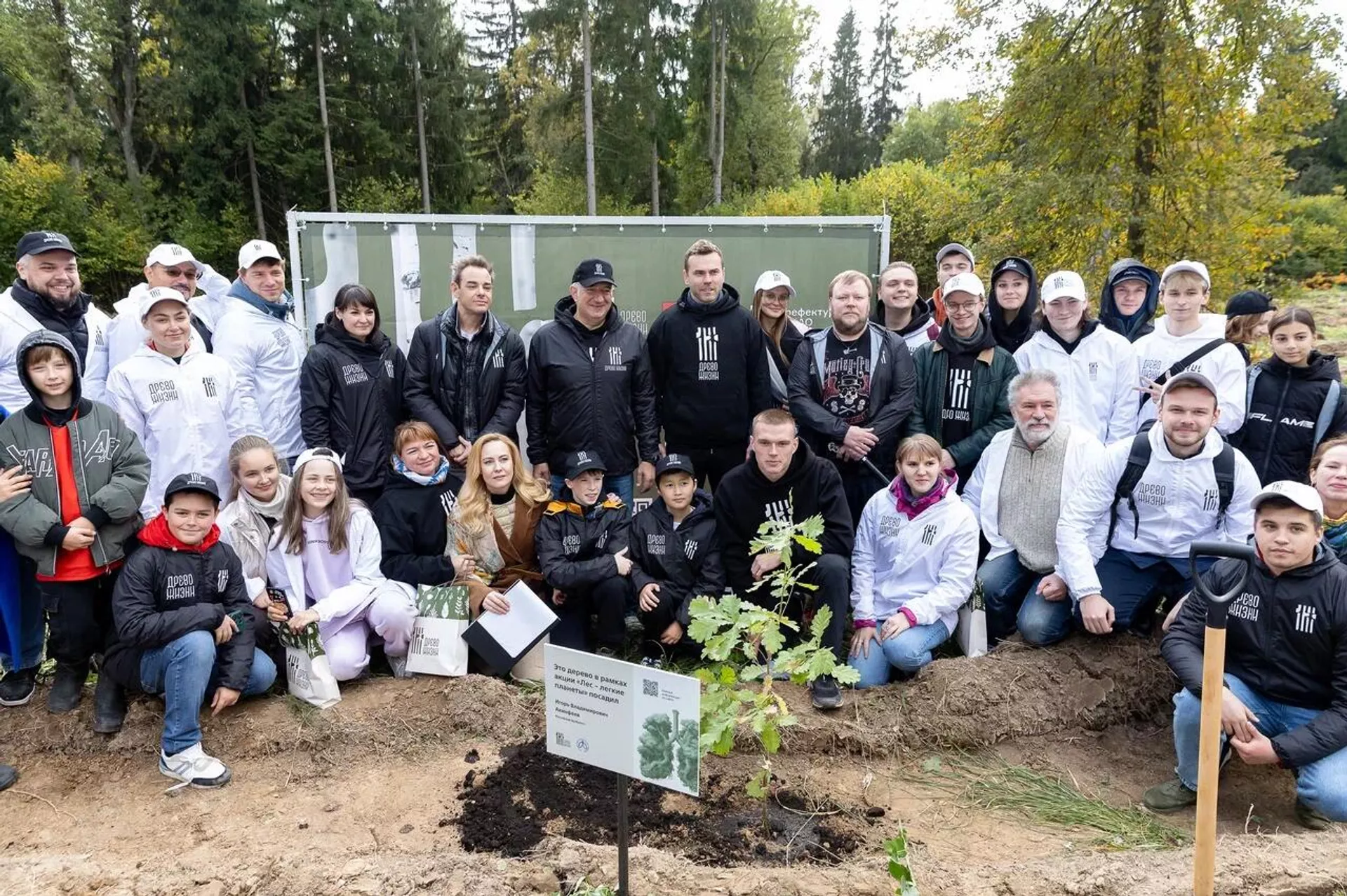 Более 1,2 миллиона деревьев высадила организация «Древо жизни» в 2025 году