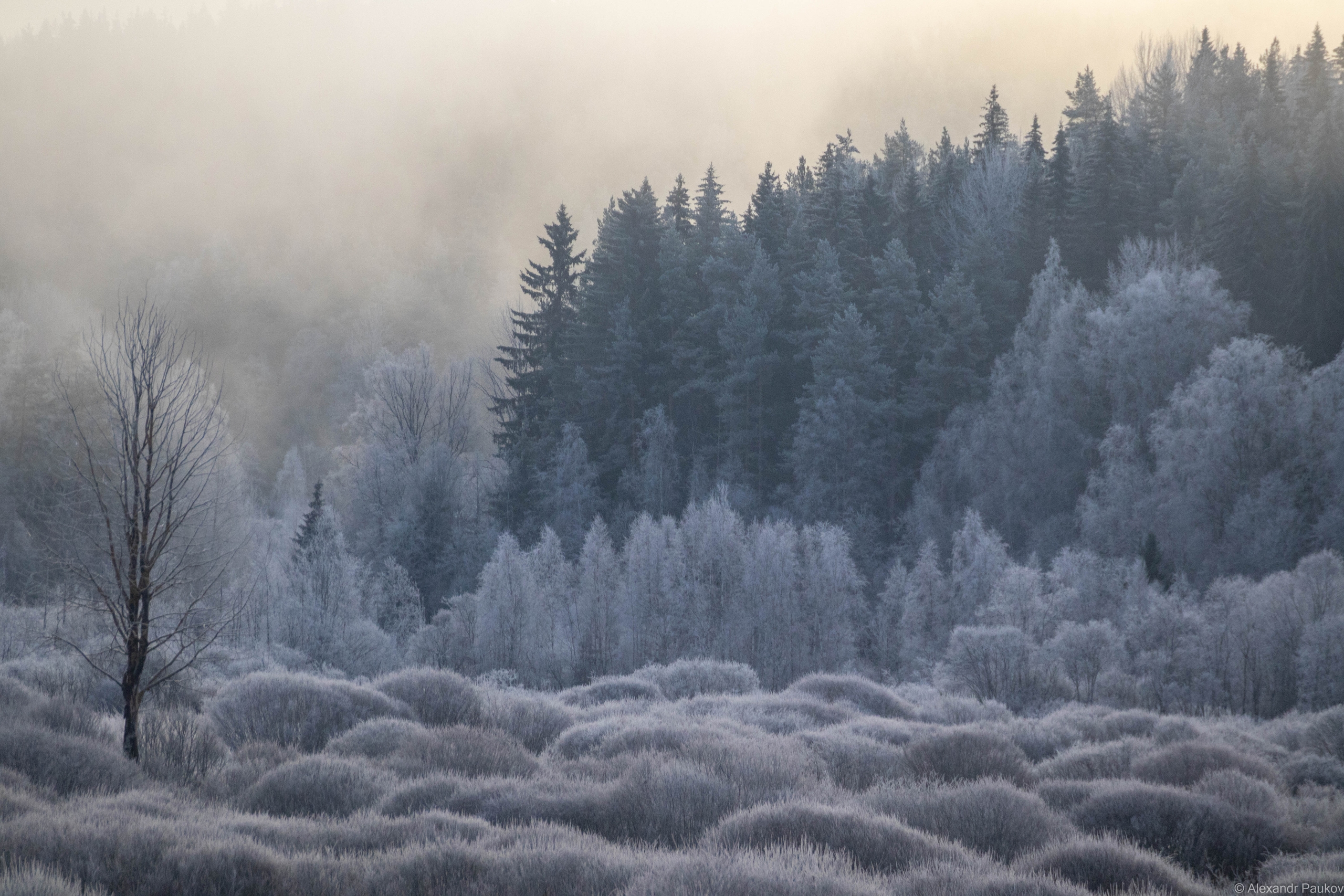 Снежные массы надвигаются на Петрозаводск