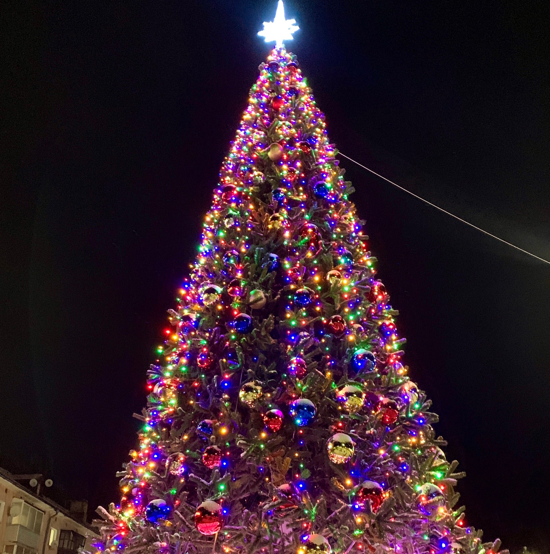 В Беломорске установили новогоднюю елку