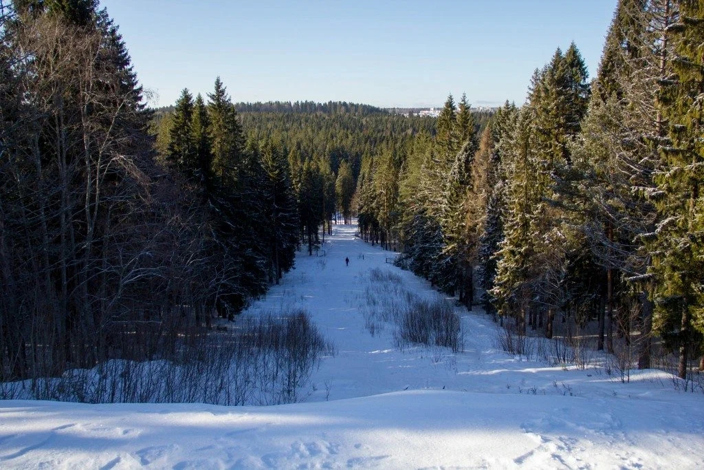 Усиливается напряжение вокруг рекреационной зоны «Курган» в Петрозаводске