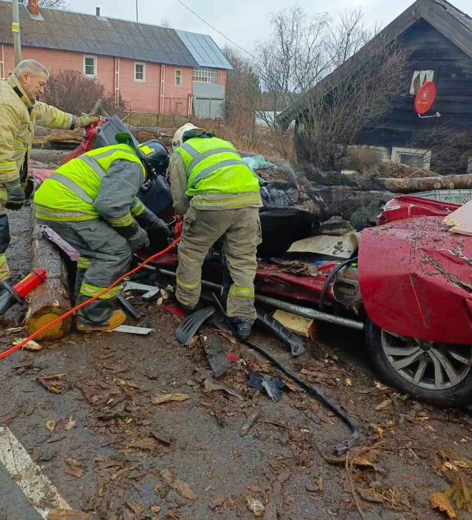 Пожарные вырезали погибшего водителя из раздавленной бревнами легковушки на трассе в Прионежье