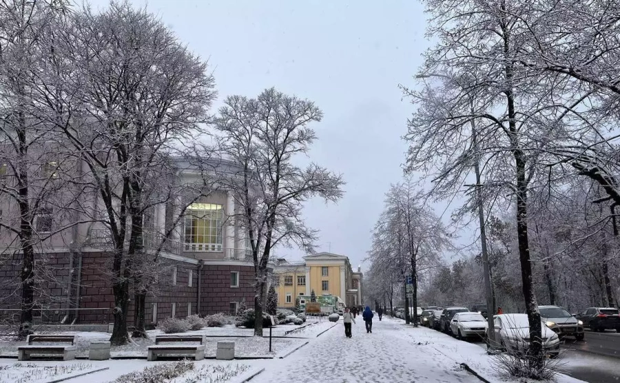 Число самозанятых  в Карелии выросло более чем на 15%