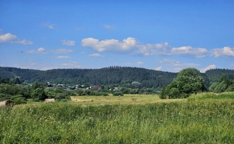 В Карелии в четыре раза возросло возращение участков в госсобственность