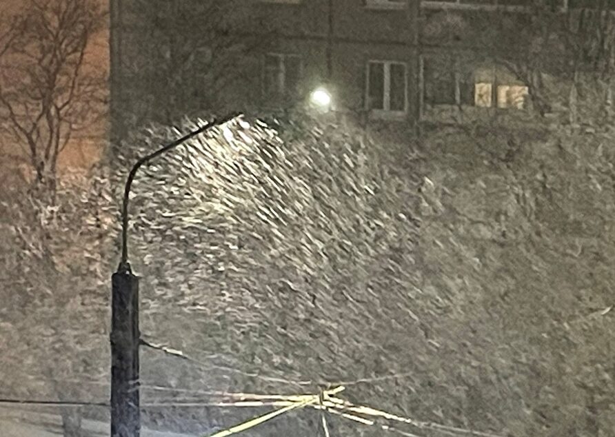 Ночью на Карелию обрушится сильный ветер