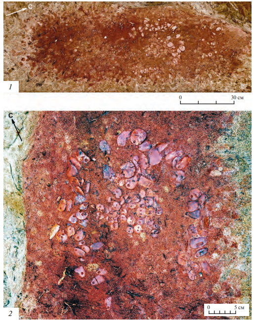 В Карелии 5000-летняя могила без костей помогла раскрыть детали жизни «особого» человека
