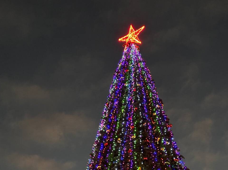 Главную ель нарядили на площади Кирова в Петрозаводске