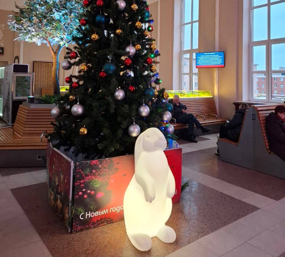 Вокзал в Петрозаводске засиял новогодними огнями