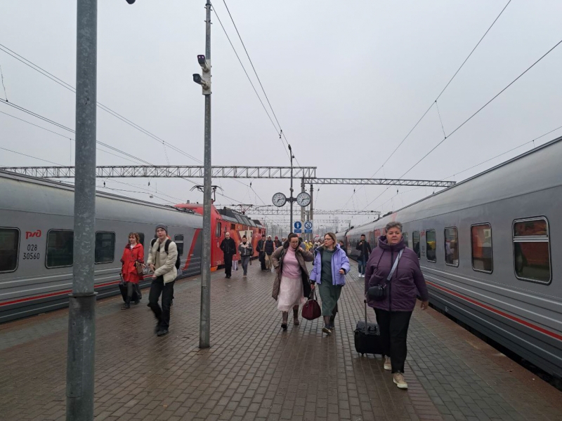 Альтернативу отменяемому пригородному поезду ищут в Карелии