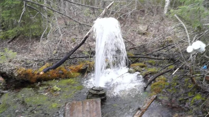 В сети рассказали об артезианском фонтане, бьющем в лесах Карелии уже более 40 лет