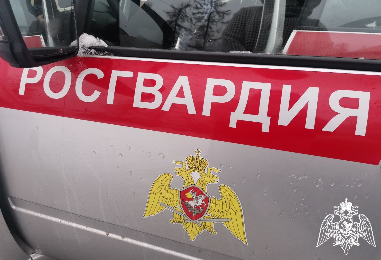 Росгвардейцы Карелии более 300 раз выезжали по сигналу тревожной кнопки и задерживали правонарушителей