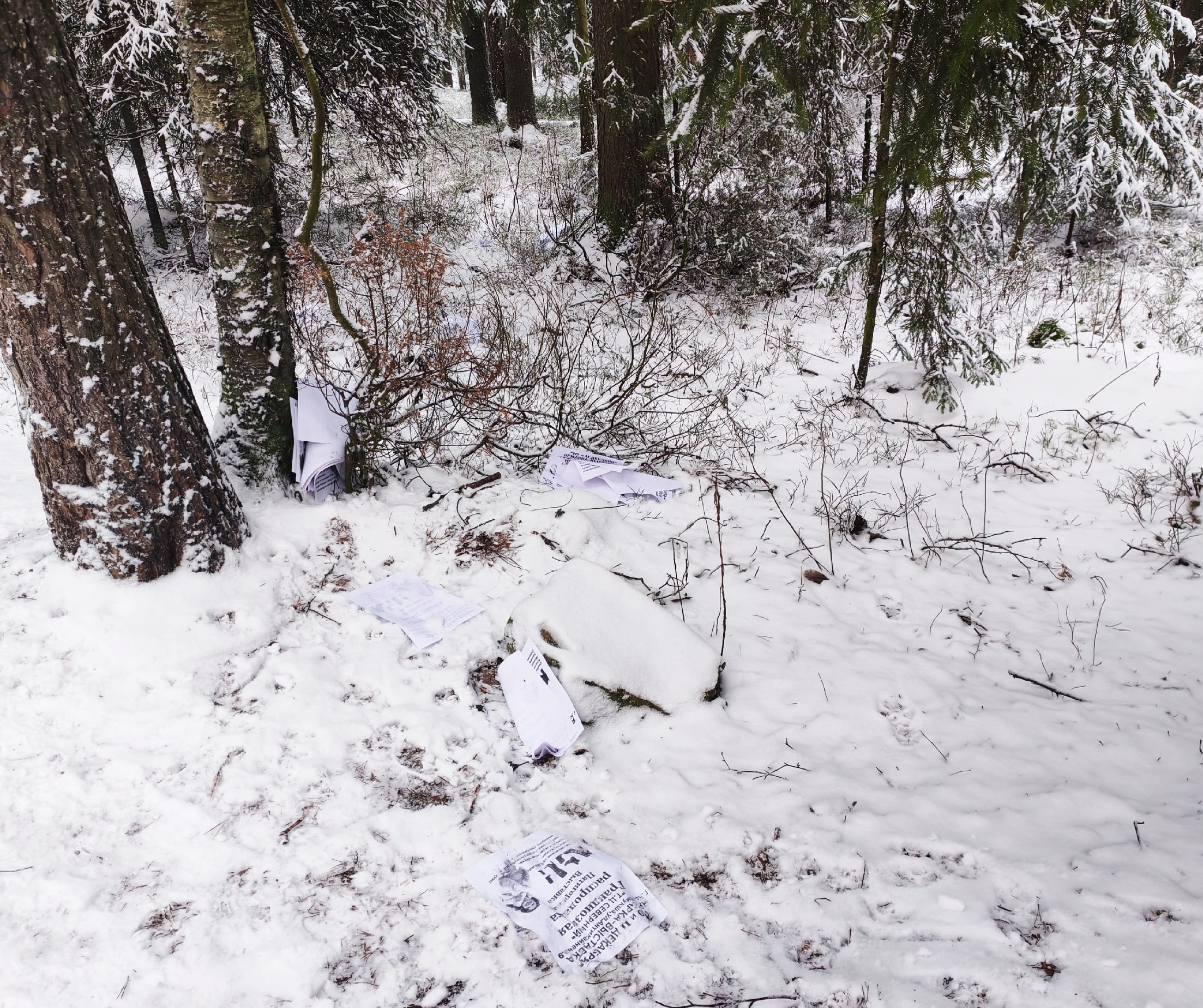 Главный редактор издания «64 параллель» подняла тему навязчивой рекламы в Костомукше