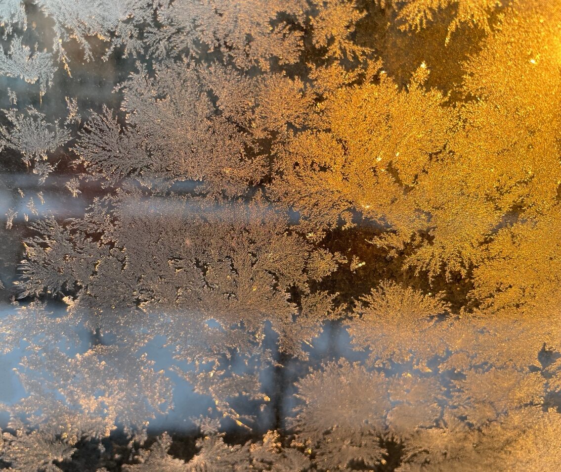 Дыхание Арктики не за горами: синоптики рассказали, когда в Карелию придет зима