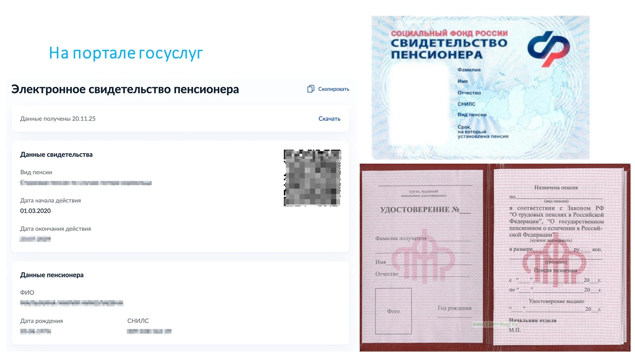 Электронное пенсионное удостоверение ввели в Карелии