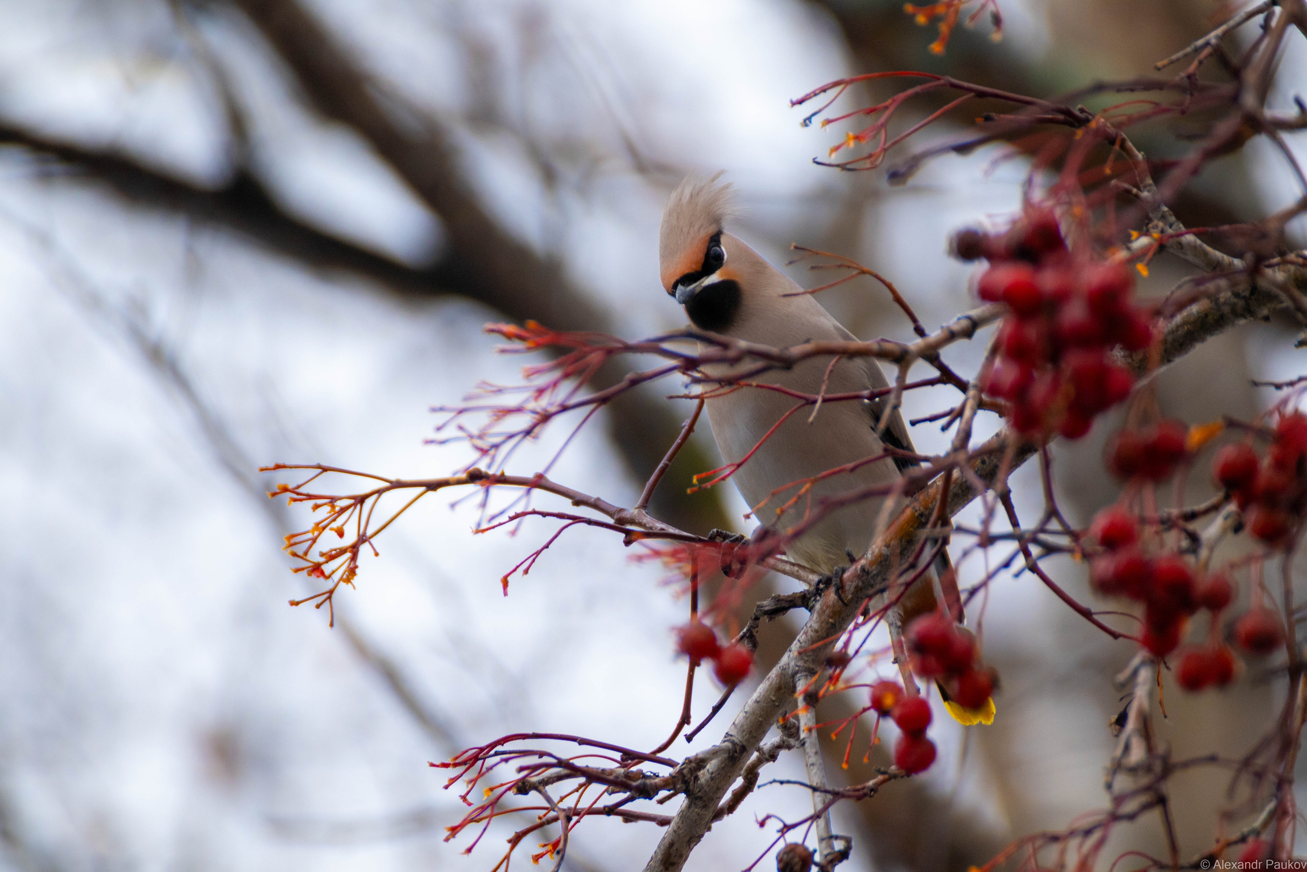 Синоптики рассказали о погоде в Карелии на понедельник