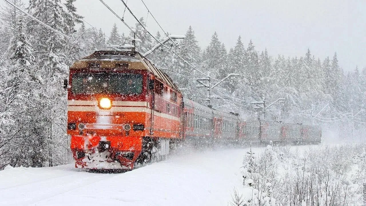 В Карелии поезд сбил лося