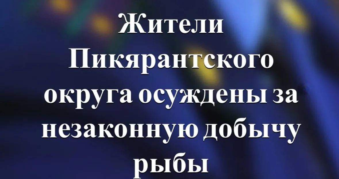 Три рыбака из Питкярантского округа осуждены и должны оплатить ущерб по 600 тысяч рублей на каждого