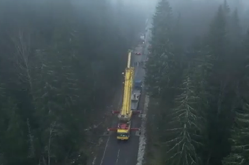 Десятитонную ель для Дворцовой площади доставили из леса кортежем ДПС